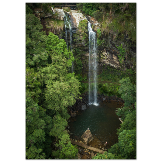 Moody Hidden Australian Forest Waterfall Photo Poster
