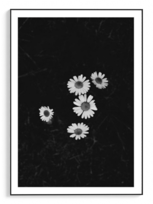 Moody Black and White Flowers Poster